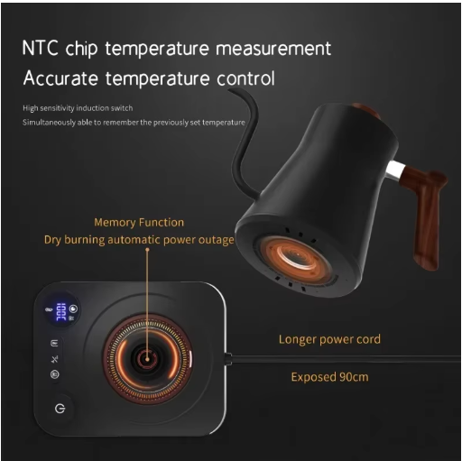 Electric Gooseneck Kettle